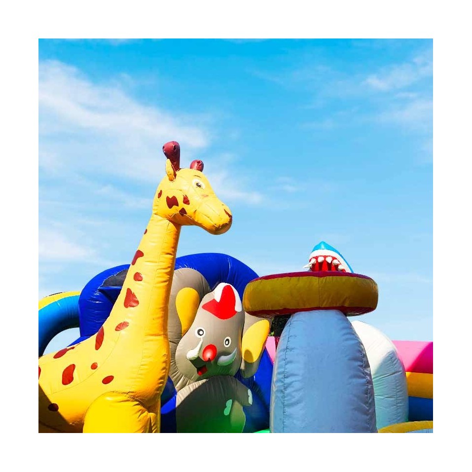 Animal Kingdom Inflatable Park - 13990 - 5-cover