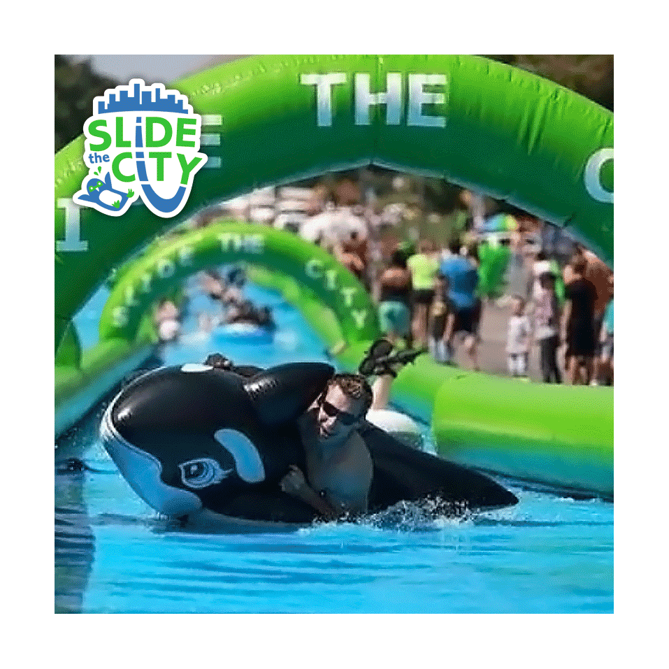 Slip n Slide - Slide City 80m - 19922 - 6-cover